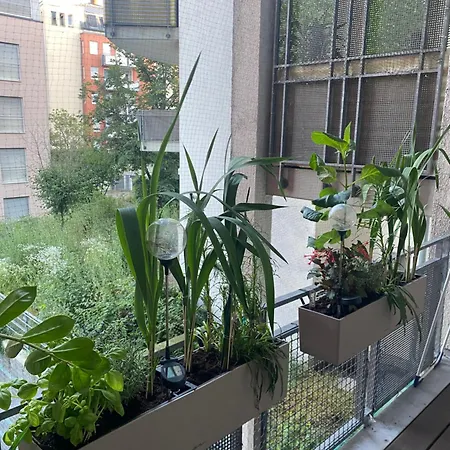 Apartmán Grosszuegige Oase Mitte